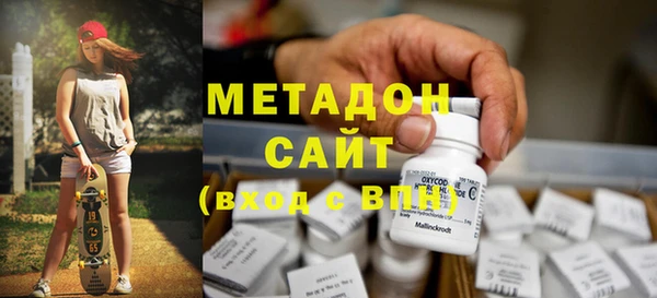 прущие грибы Заводоуковск