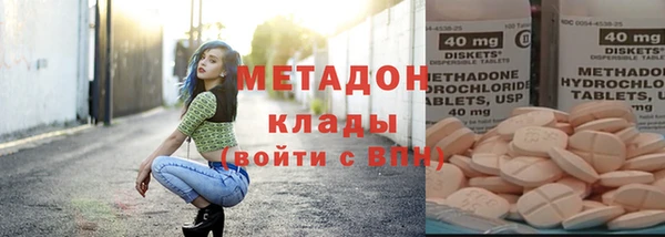 прущие грибы Заводоуковск