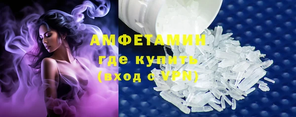 прущие грибы Заводоуковск