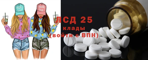ГАЛЛЮЦИНОГЕННЫЕ ГРИБЫ Заволжье