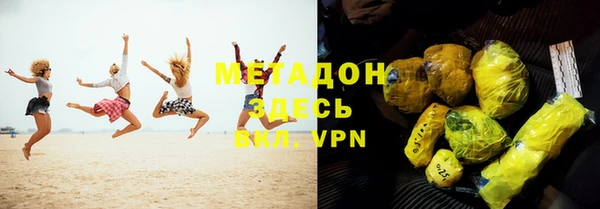 прущие грибы Заводоуковск