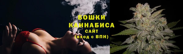 прущие грибы Заводоуковск