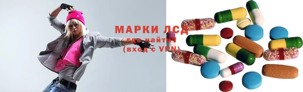 ГАЛЛЮЦИНОГЕННЫЕ ГРИБЫ Заволжье