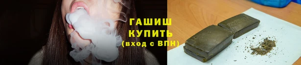 прущие грибы Заводоуковск