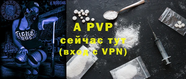 ГАЛЛЮЦИНОГЕННЫЕ ГРИБЫ Заволжье