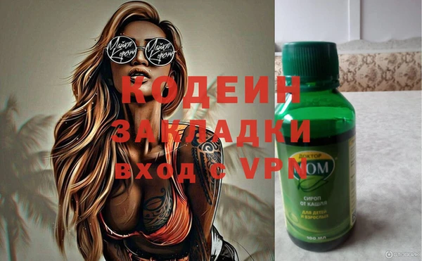 прущие грибы Заводоуковск