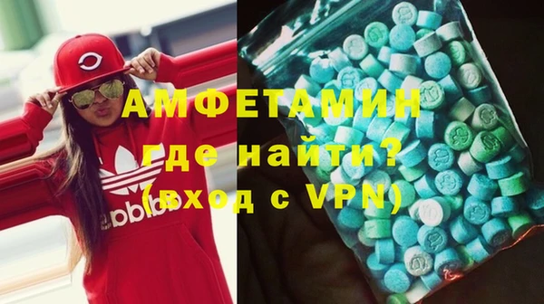 прущие грибы Заводоуковск