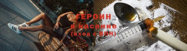 прущие грибы Заводоуковск