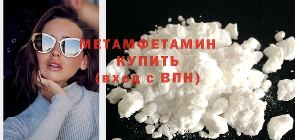 прущие грибы Заводоуковск