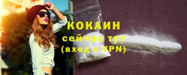 прущие грибы Заводоуковск