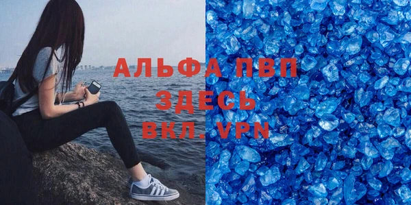 прущие грибы Заводоуковск