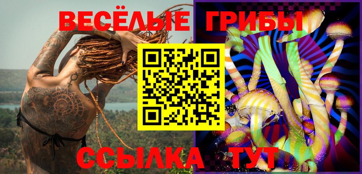 Галлюциногенные грибы мицелий Карасук
