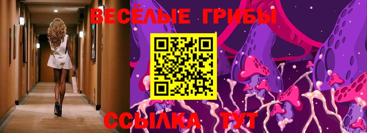 Карасук  Псилоцибиновые грибы мухоморы  Вход с VPN 